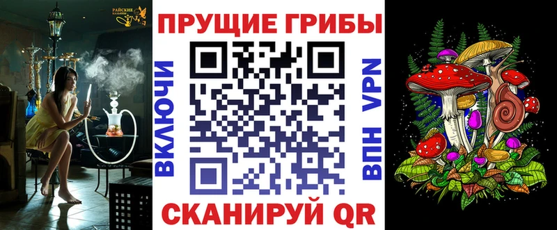 Псилоцибиновые грибы GOLDEN TEACHER  где купить наркоту  кракен tor  Пустошка 